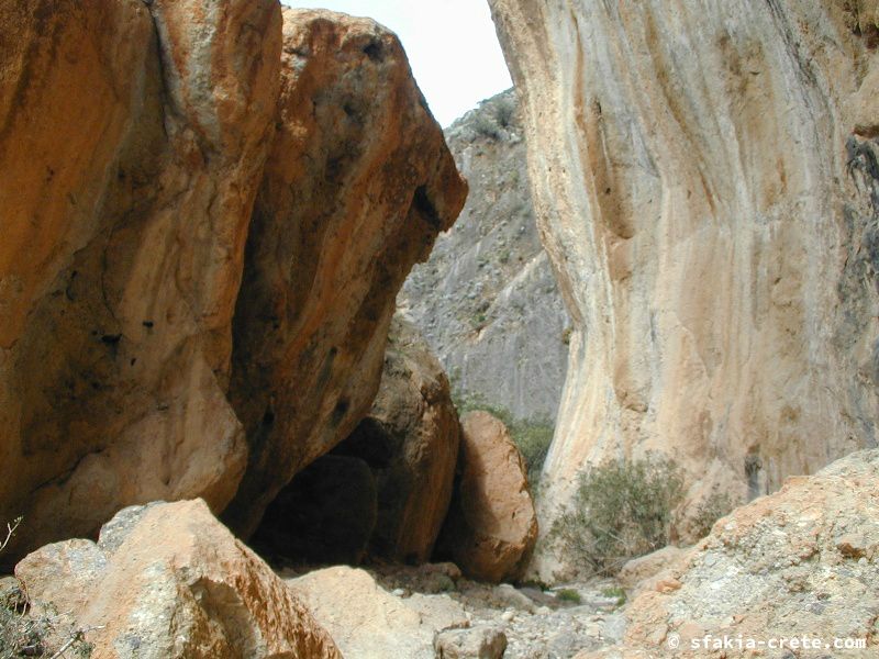 Photo report of a visit around Sfakia, Sougia and Loutro, southwest Crete, April 2007